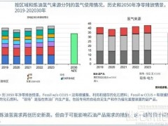 IEA：全球氫能需求今年將達(dá)1億噸！中國(guó)電解槽產(chǎn)能占八成！