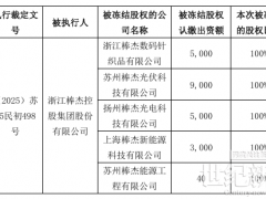 棒杰股份：5家子公司100%股權(quán)被凍結(jié)！