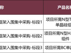 中電建2026年度集采：31GW組件（含BC 4GW）+31GW逆變器！